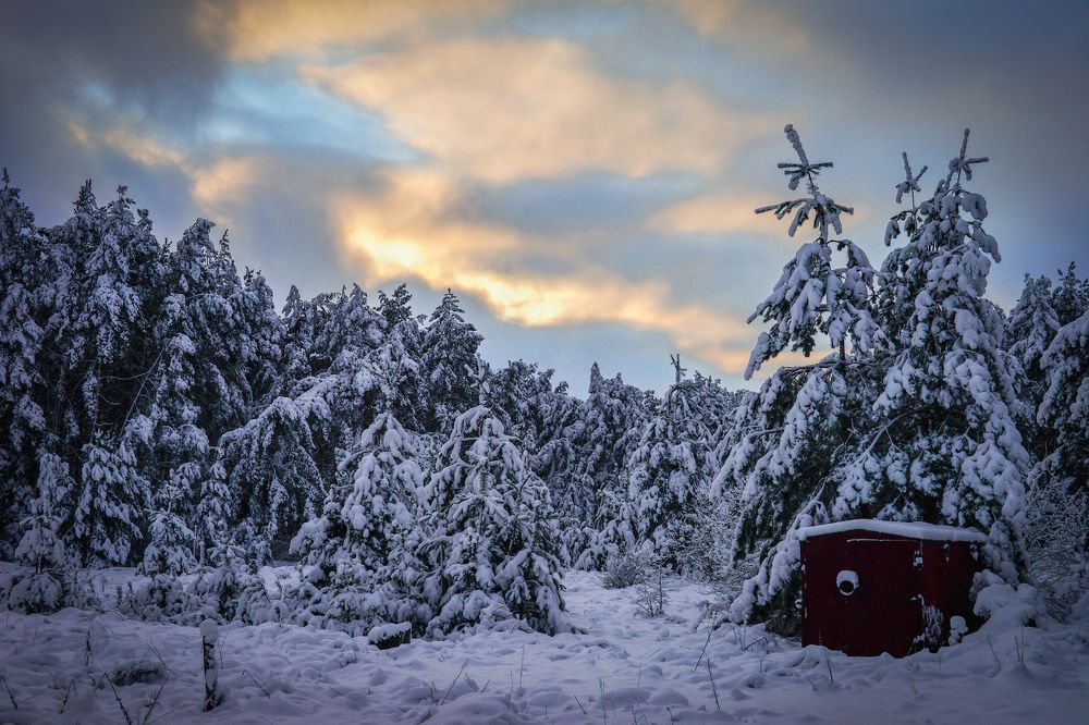 Photograph by Сафронов Александр