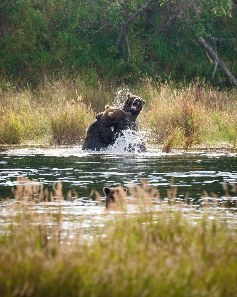 Фотография автора Karthik Subramaniam