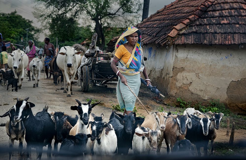 Photograph by GOUTAM PAL