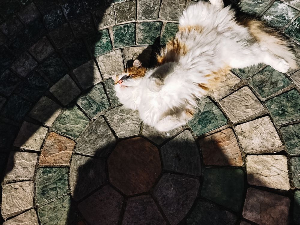 Photograph by Катерина Мак