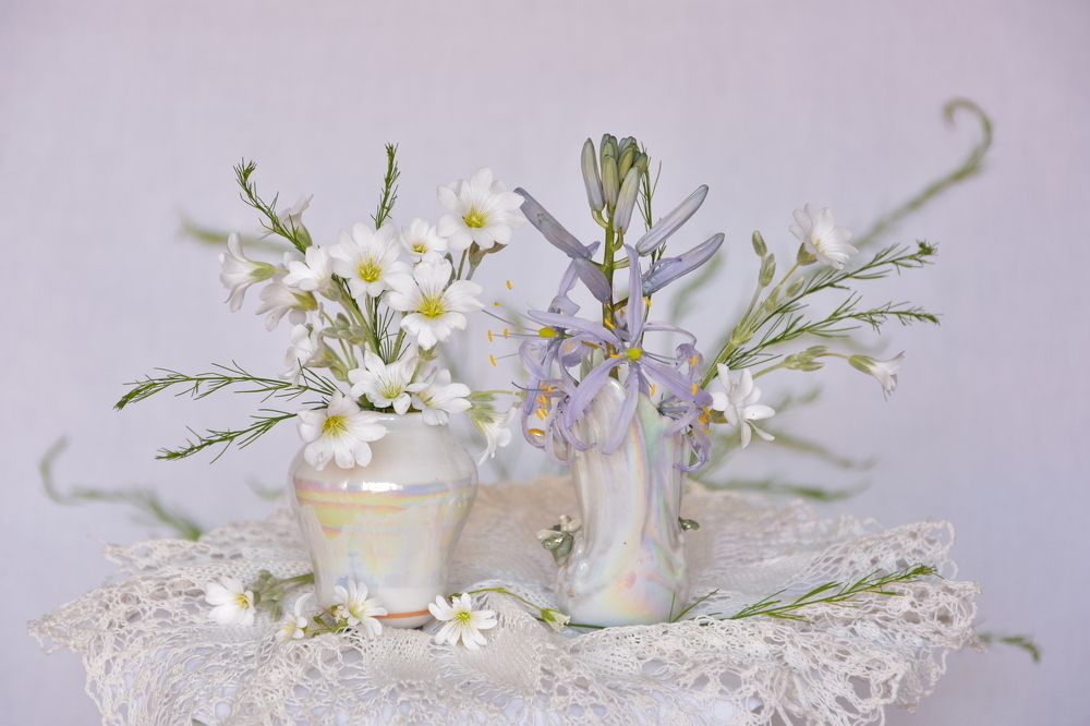 Photograph by Ирина Алексеева