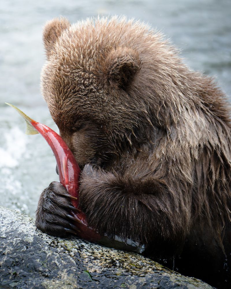 Фотография автора Karthik Subramaniam