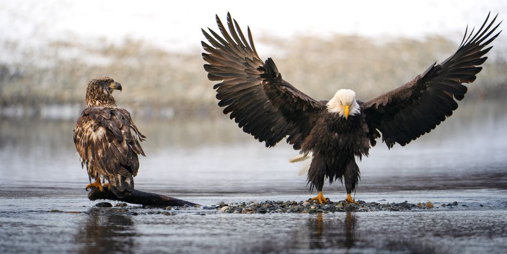 Фотография автора Karthik Subramaniam