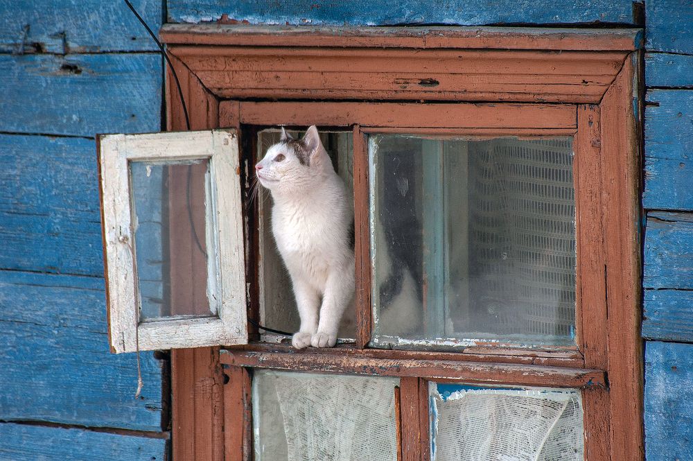 Photograph by Алексей Патлах