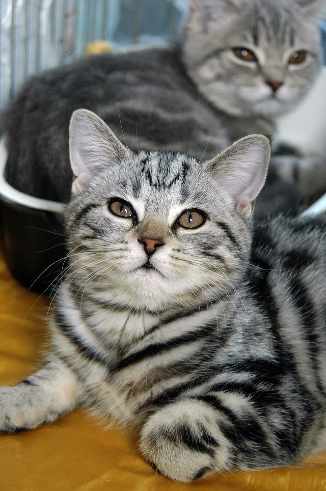 Photograph by Алексей Патлах