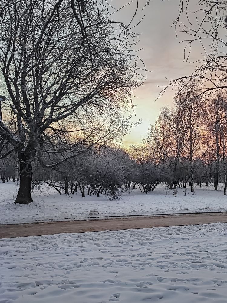 Фотография автора Ольга Савочкина