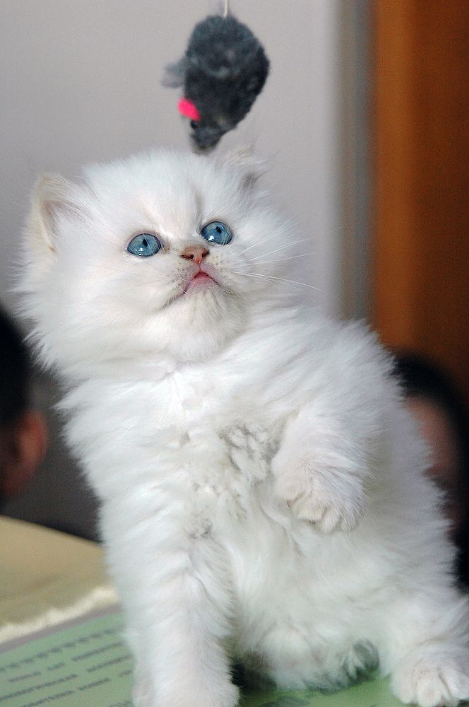 Photograph by Алексей Патлах