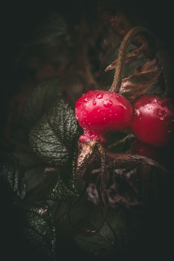 Photograph by Дарья Макаревич