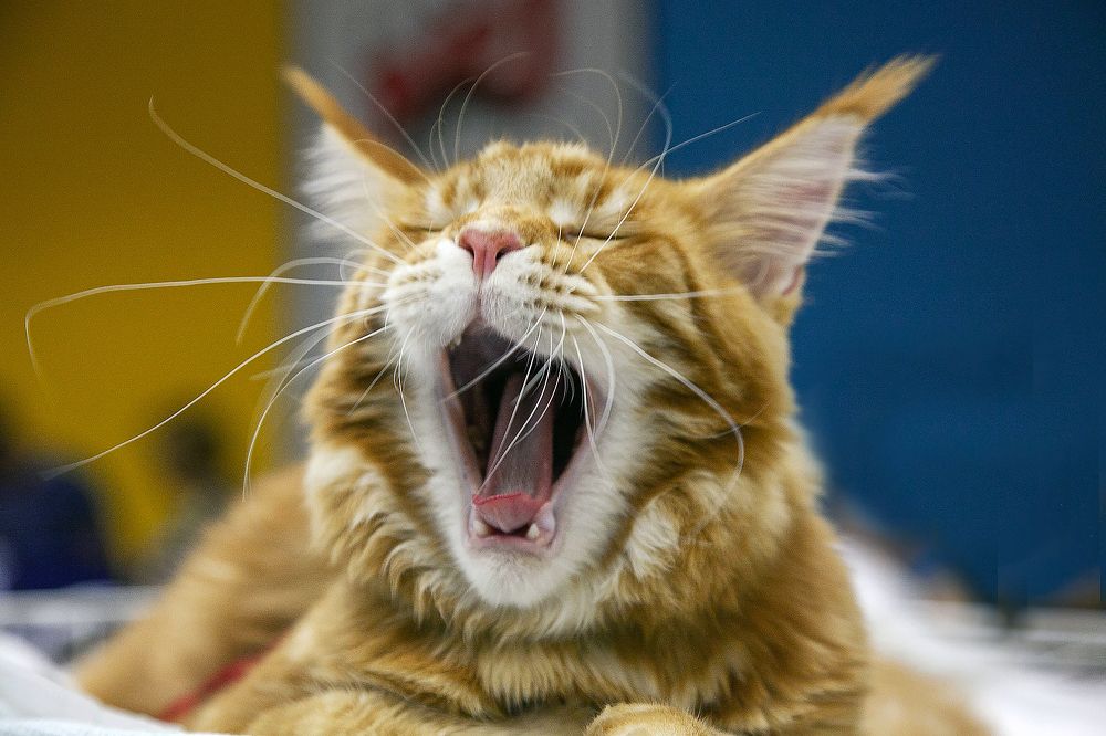 Photograph by Алексей Патлах