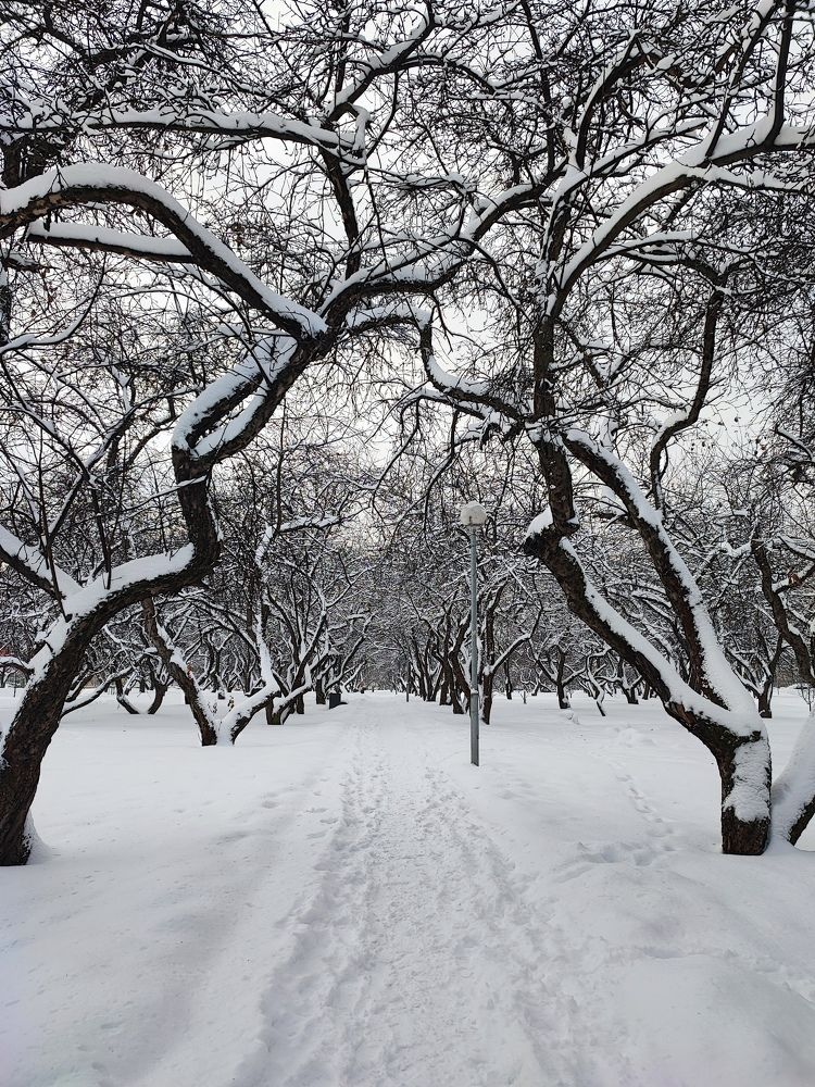Фотография автора Ольга Савочкина