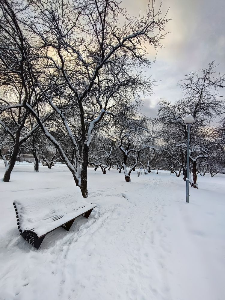 Фотография автора Ольга Савочкина