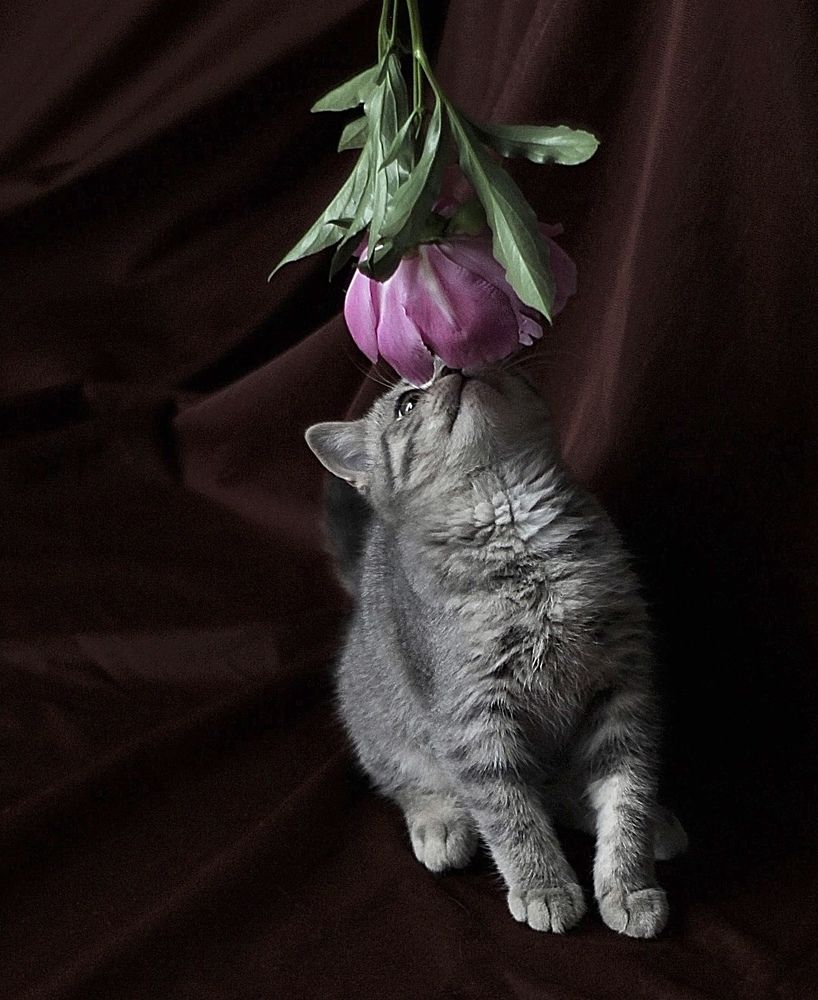 Photograph by Наталья Гусева