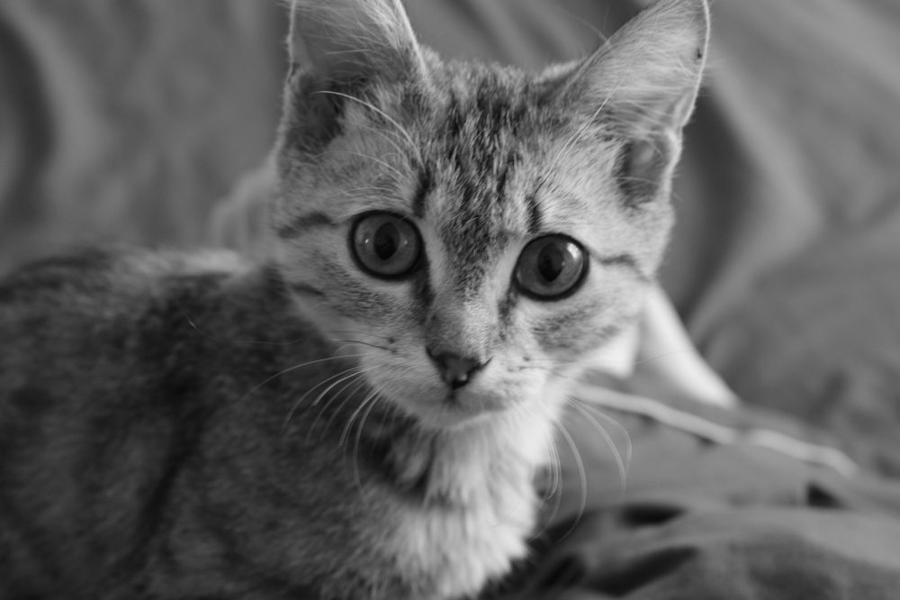 Photograph by Ольга Карпачева