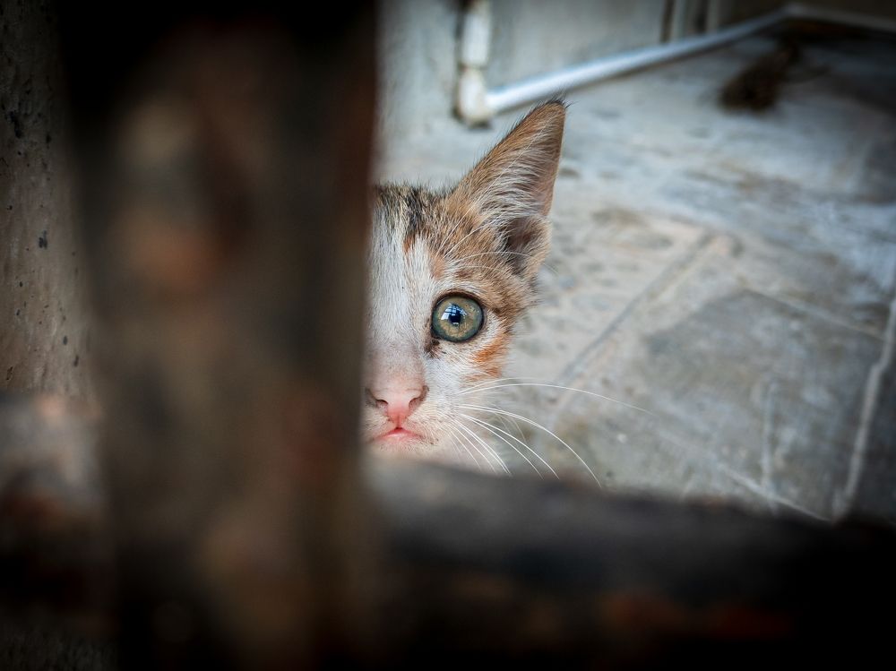 Photograph by Dhruv Mistry