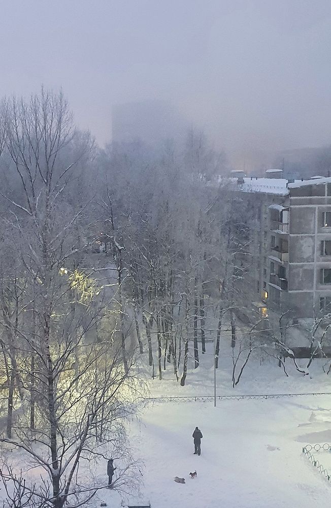 Фотография автора Надежда Лисицына