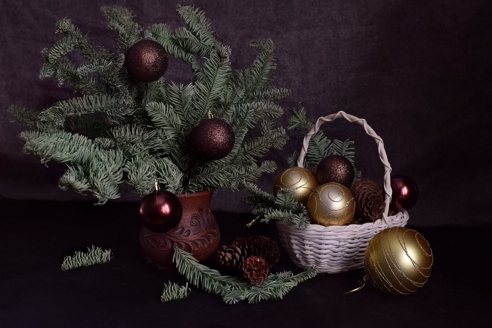 Фотография автора Оксана Льдинина