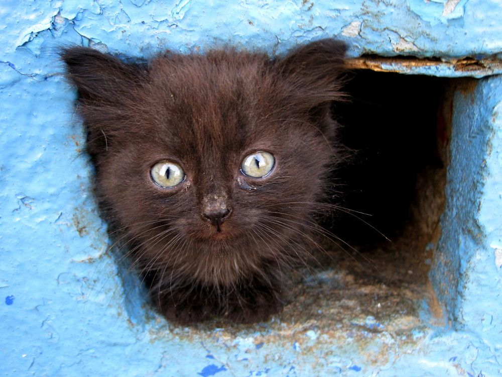 Photograph by Наталья Дубовкина