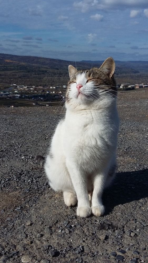 Photograph by Наталья Дубовкина