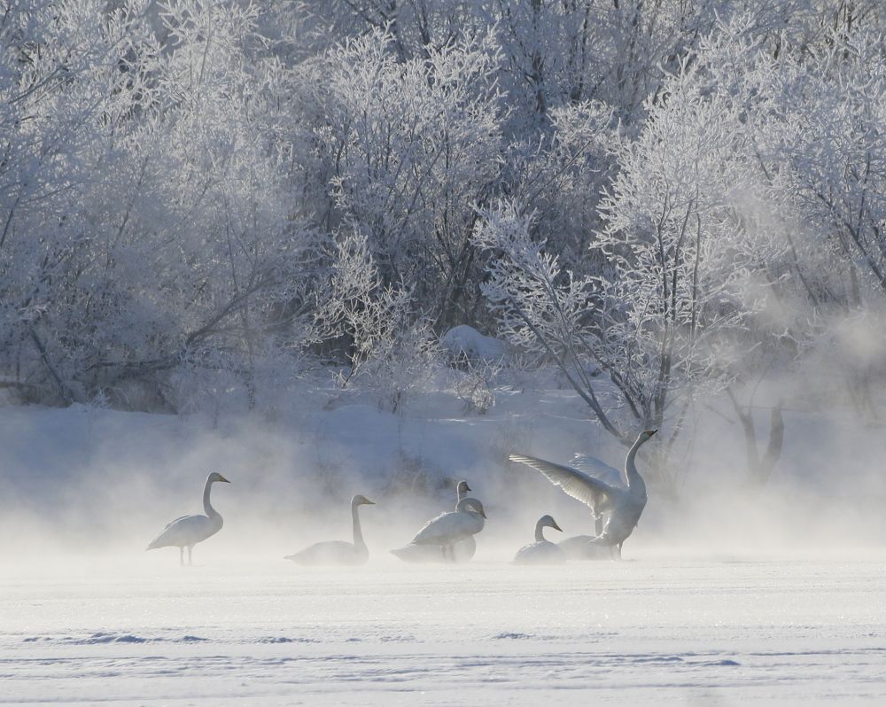 Photograph by Наталья Турчик