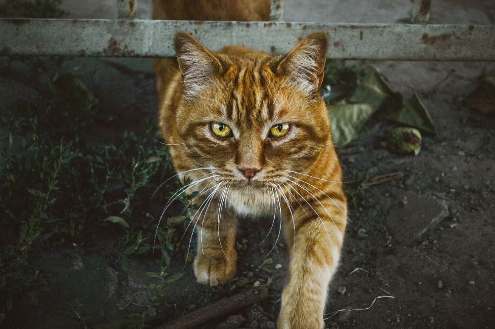 Photograph by Софья Лученкова