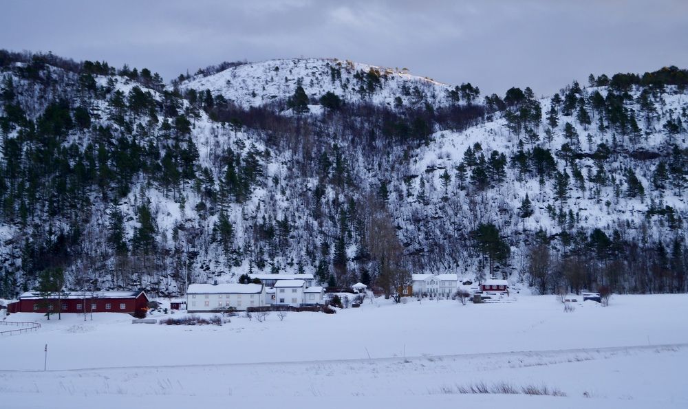 Photograph by Александра