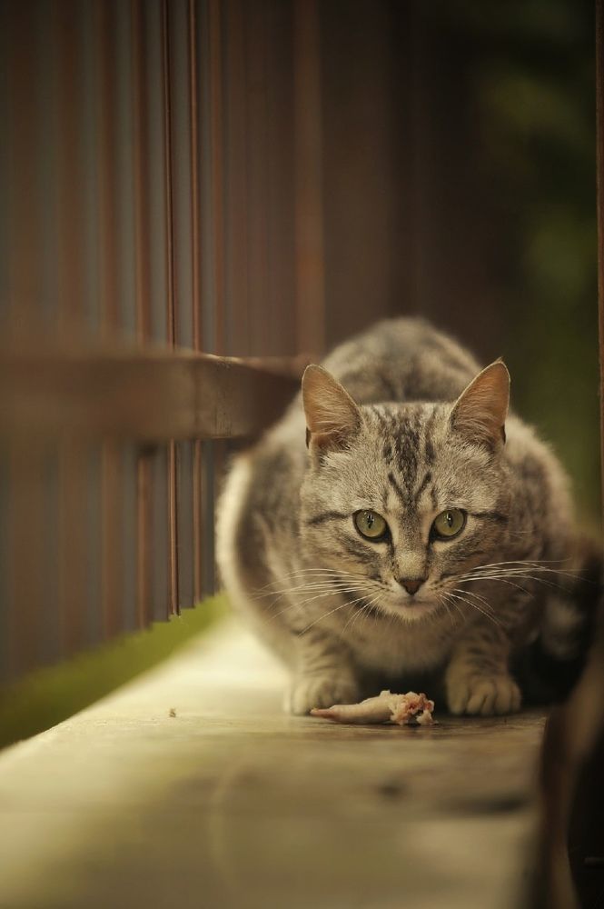 Photograph by Михаил Саидов