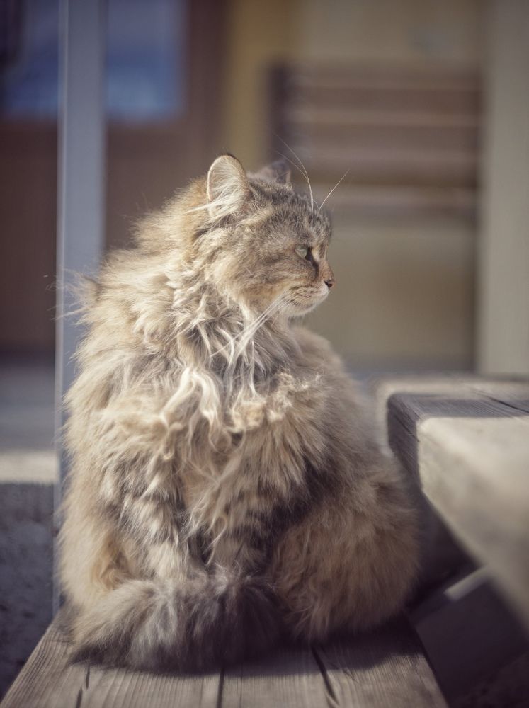 Photograph by Михаил Саидов