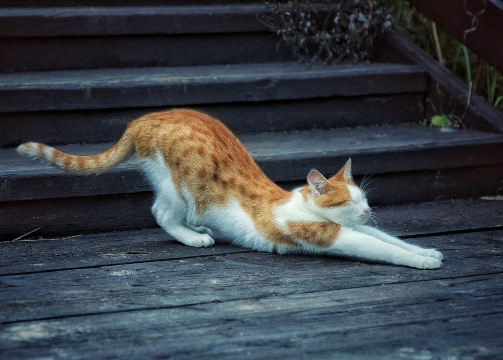 Photograph by Михаил Саидов