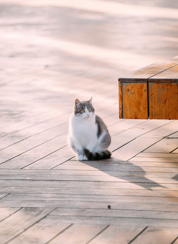 Photograph by Афанасьев Сергей