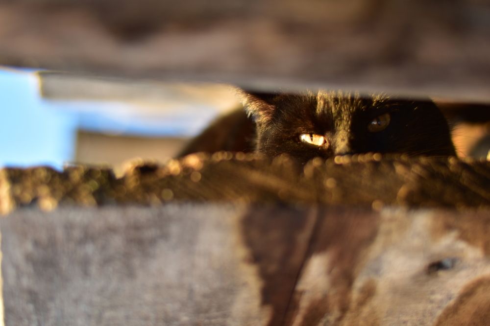 Photograph by Svetlana