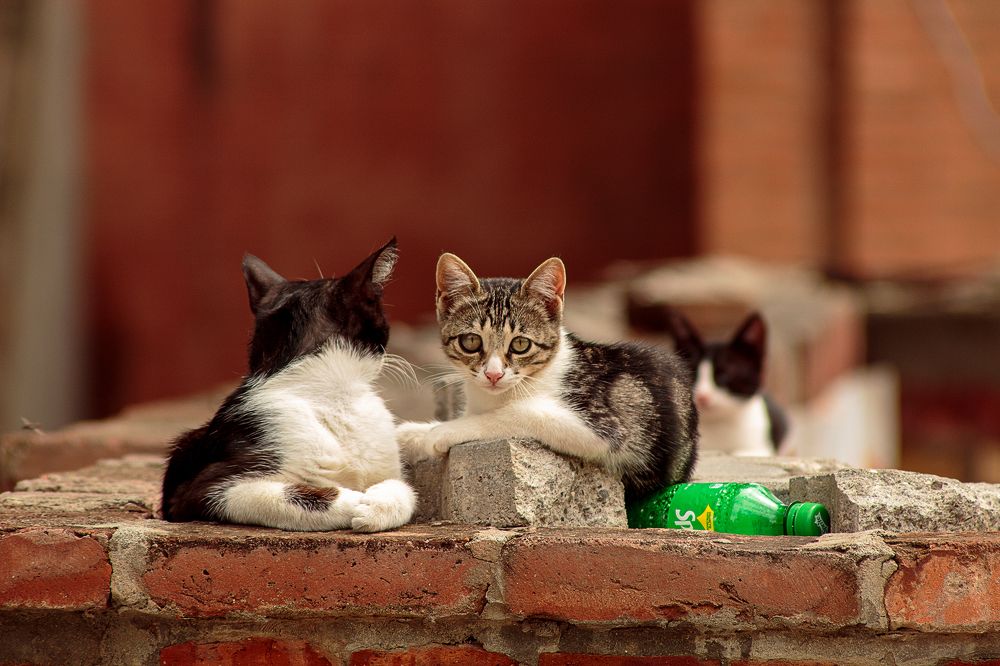 Photograph by Владимир Осипов