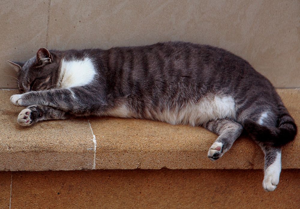 Photograph by Владимир Осипов