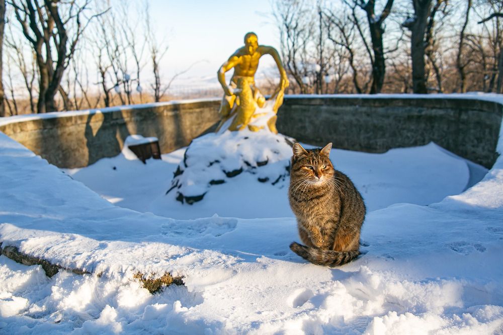 Photograph by Очева Наталья Александровна