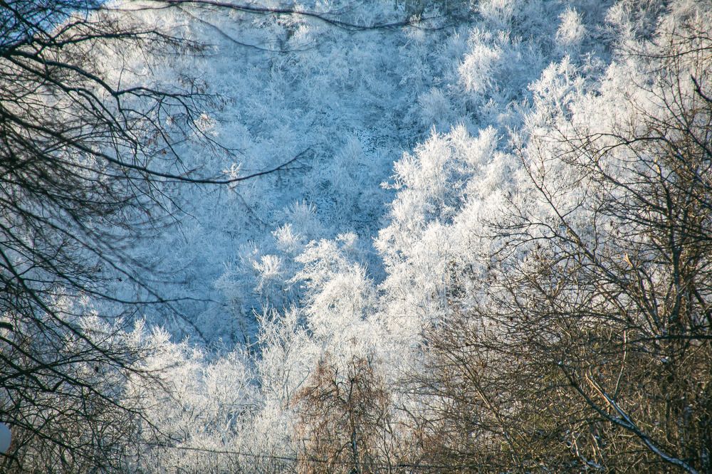 Photograph by Очева Наталья Александровна
