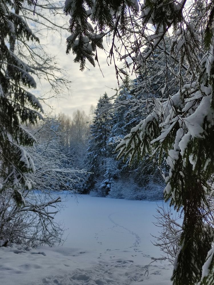 Photograph by Ирина Подлубная