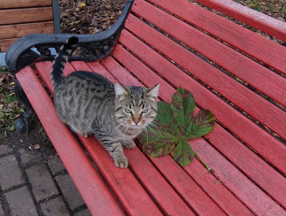 Photograph by Любовь Реутова