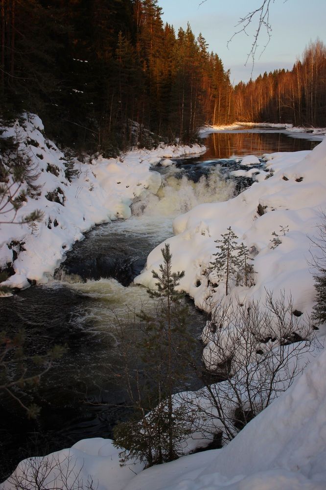 Photograph by Елена Петрова