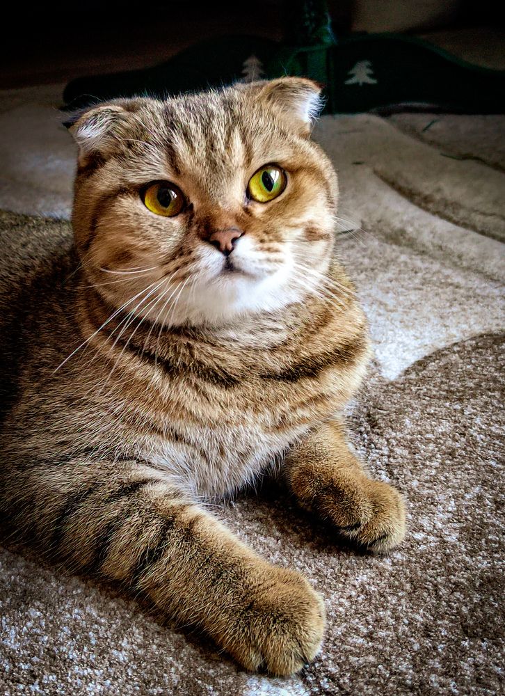 Photograph by Екатерина Слепнева