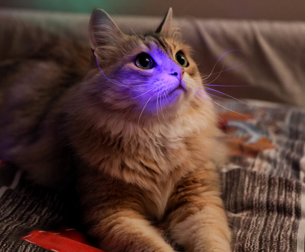 Photograph by Анастасия Карнаухова