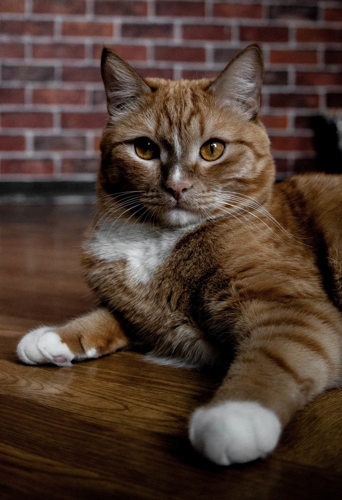 Photograph by Анастасия Карнаухова