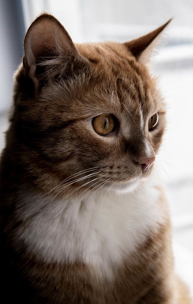 Photograph by Анастасия Карнаухова