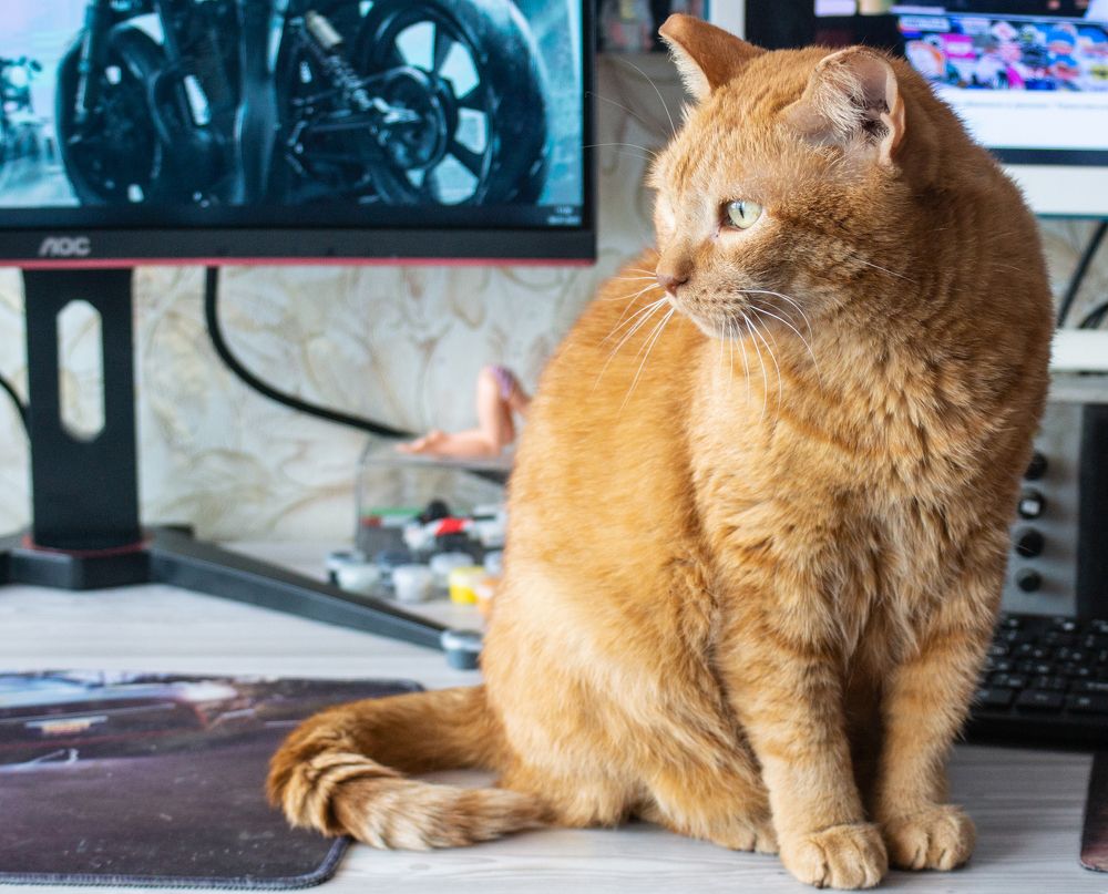 Photograph by Сергей Хранитель