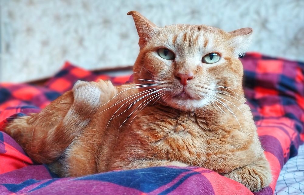 Photograph by Сергей Хранитель