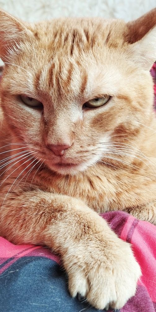 Photograph by Сергей Хранитель