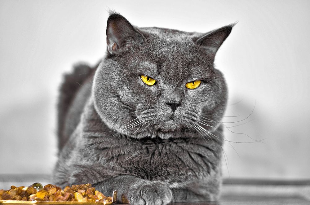 Photograph by Даниил Марков