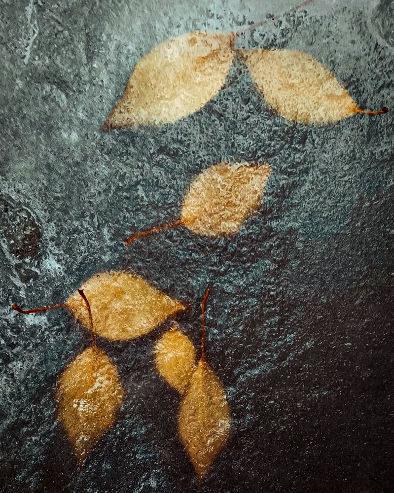 Photograph by Иван