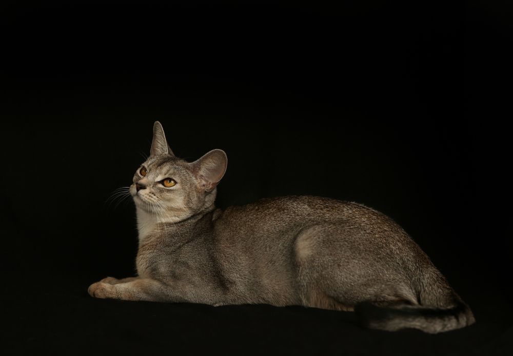 Photograph by Нина Колесова