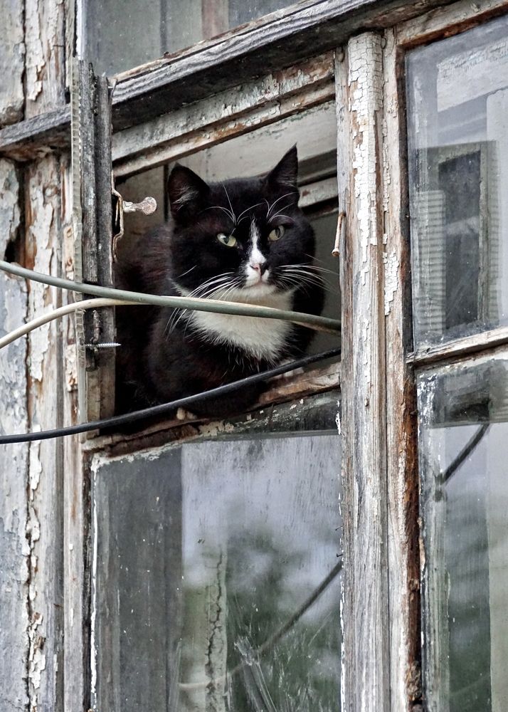 Photograph by Евгений Жиляев