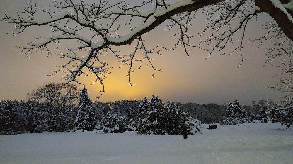 Photograph by Ирина Подлубная