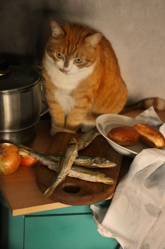 Photograph by Полина Ефимова